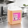 oven cleaner gastronomia.webp