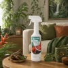fresh air odświeżacz powietrza dzika amazonia.webp