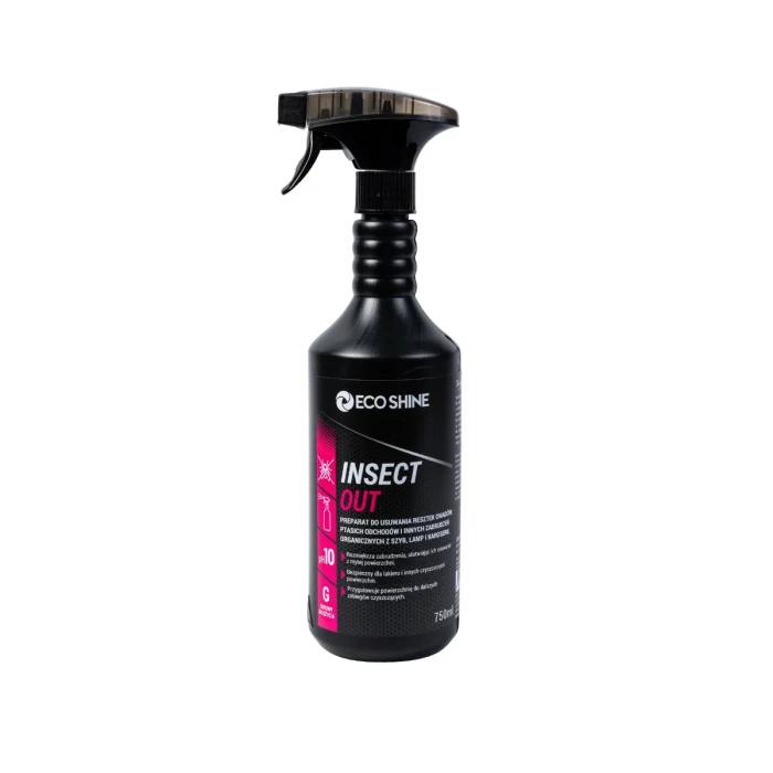 insect out.webp
