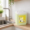 dish cleaner skoncentrowany płyn do ręcznego mycia naczyń.webp